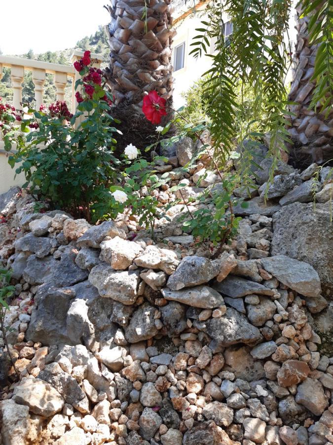 Bed and Breakfast Casa Lennisa Campell Esterno foto